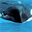 Free Whales Screensaver icon